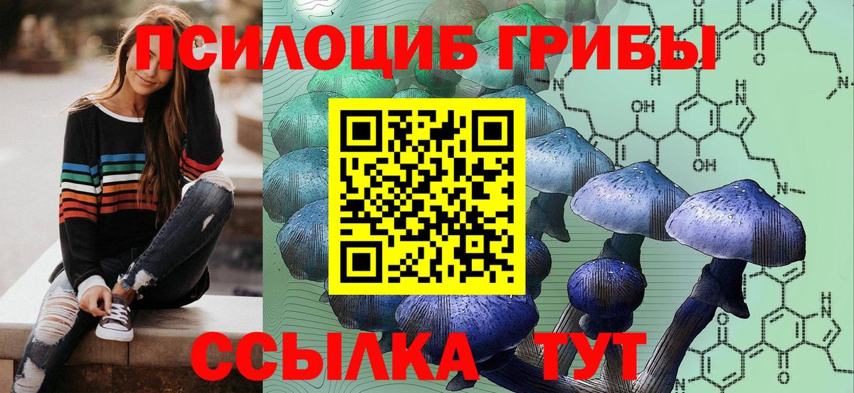 Заринск  Псилоцибиновые грибы прущие грибы  Вход с VPN  Галлюциногенные грибы ЛСД 